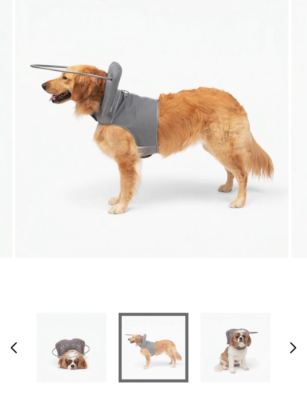 Muffin’s Halo Gray Padded Dog Harness with D-Ring for Blind Dog size 4